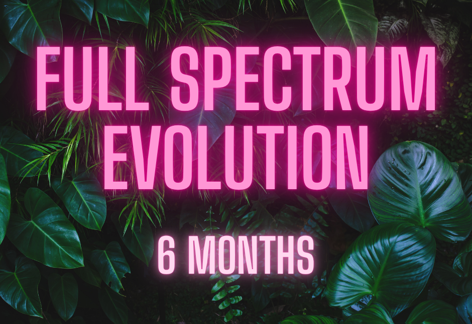 Executive Leadership Coaching