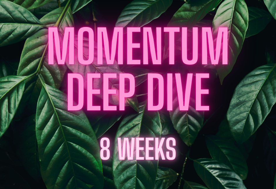 private coaching for academics; leadership coaching for high performers; coaching for professionals and leaders; executive coaching for academics