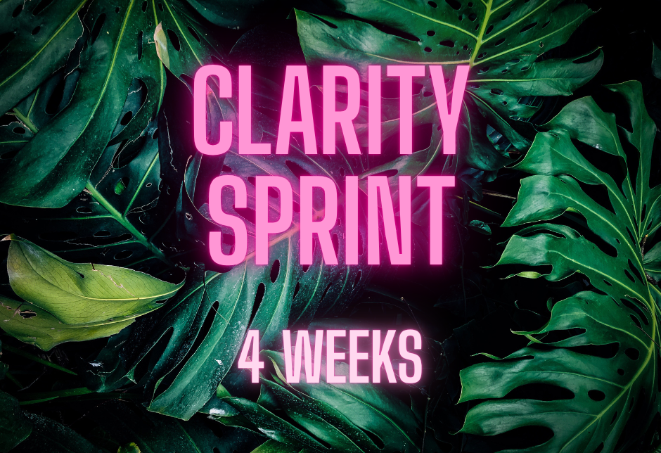 Leadership Professional Coaching