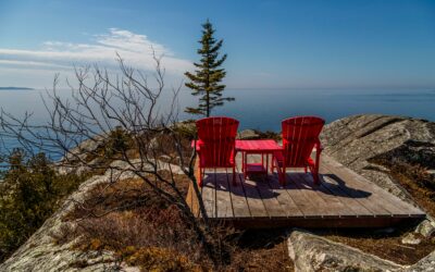 AI, Presence, and Acceleration: Provisional Notes from a Spiritual Practice and Coaching Perspective