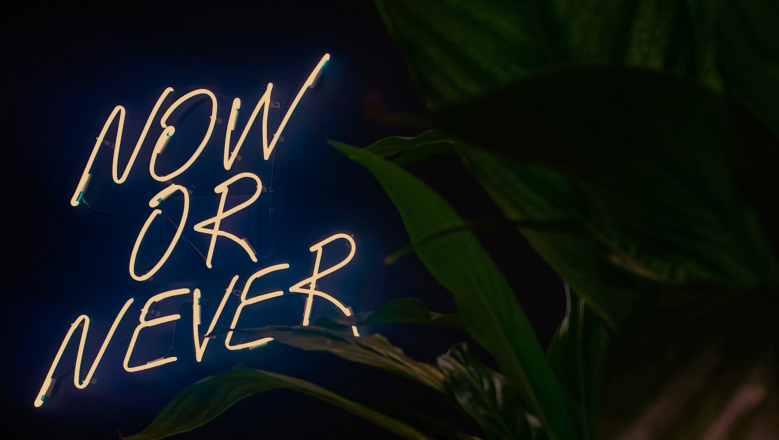 Workshops for academic institutions and organizations