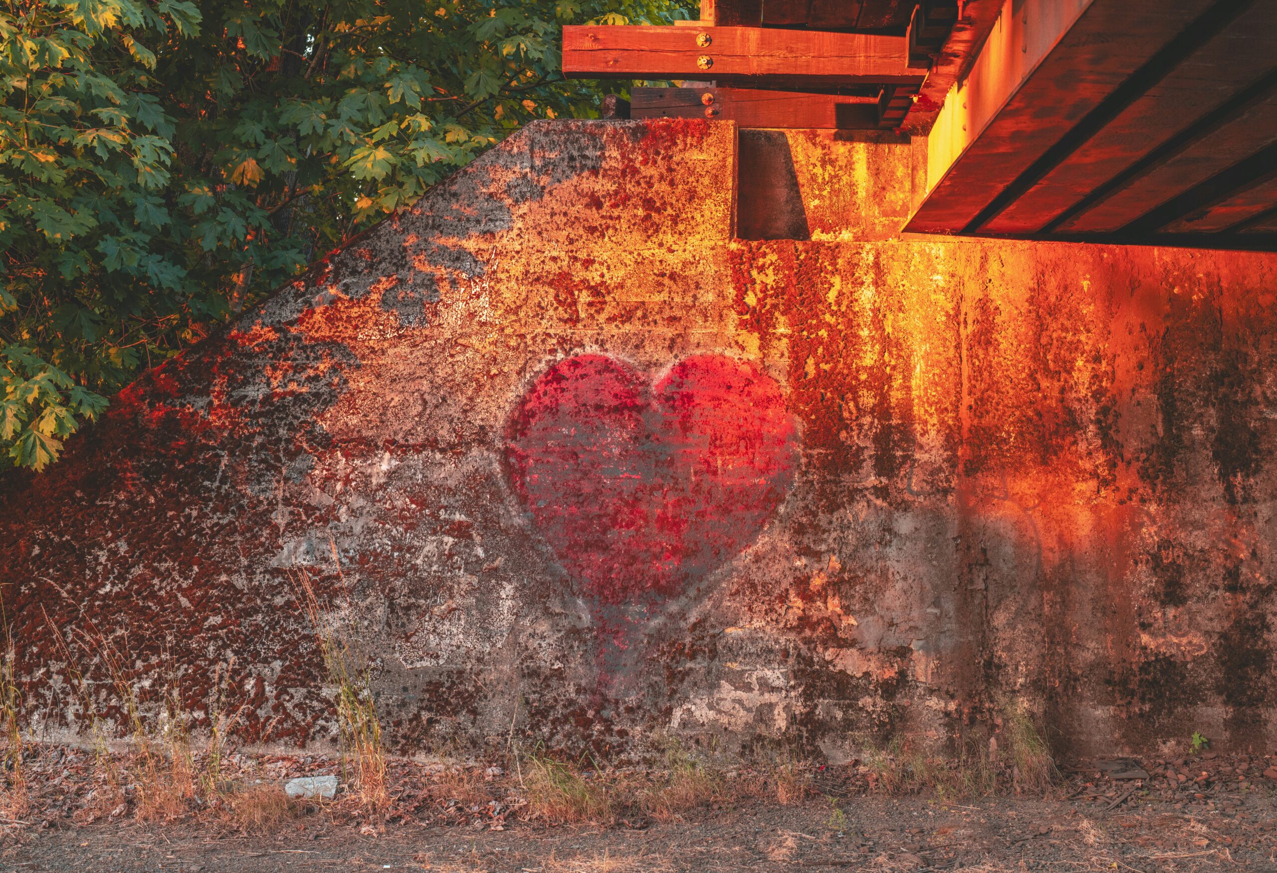 Compassion and Loving Kindness at Work: How Heart-Centered Practices Transform Your Career, Wellbeing, and Workplace Culture