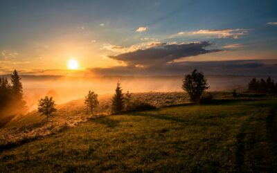 9 Small Daily Habits That Genuinely Improve Your Mental Health (Science-Backed)