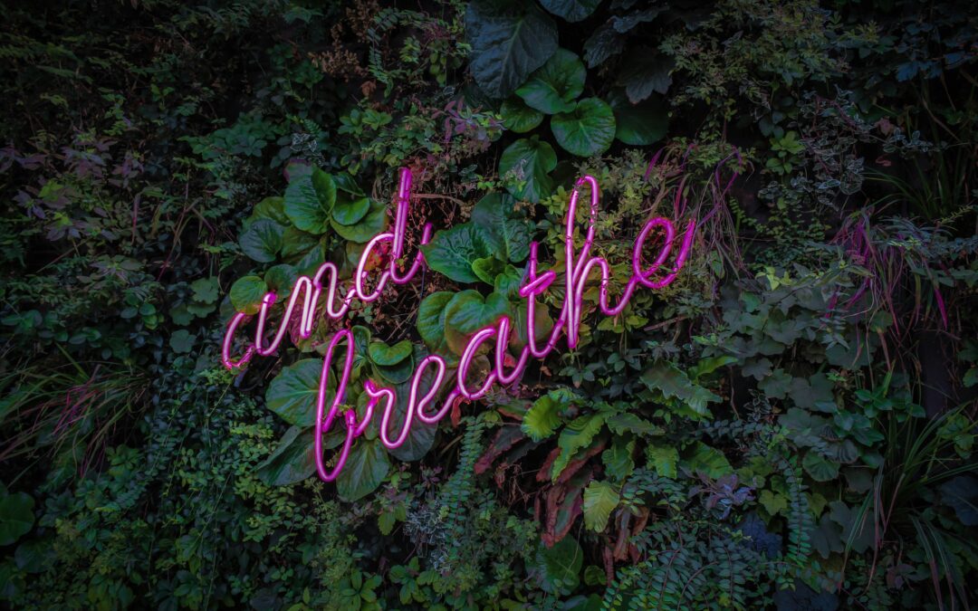 Breathwork Beyond Survival: A Neurobiological Key to Nervous System Regulation and Adaptive Performance