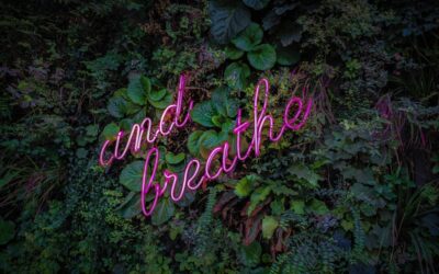 Breathwork Beyond Survival: A Neurobiological Key to Nervous System Regulation and Adaptive Performance