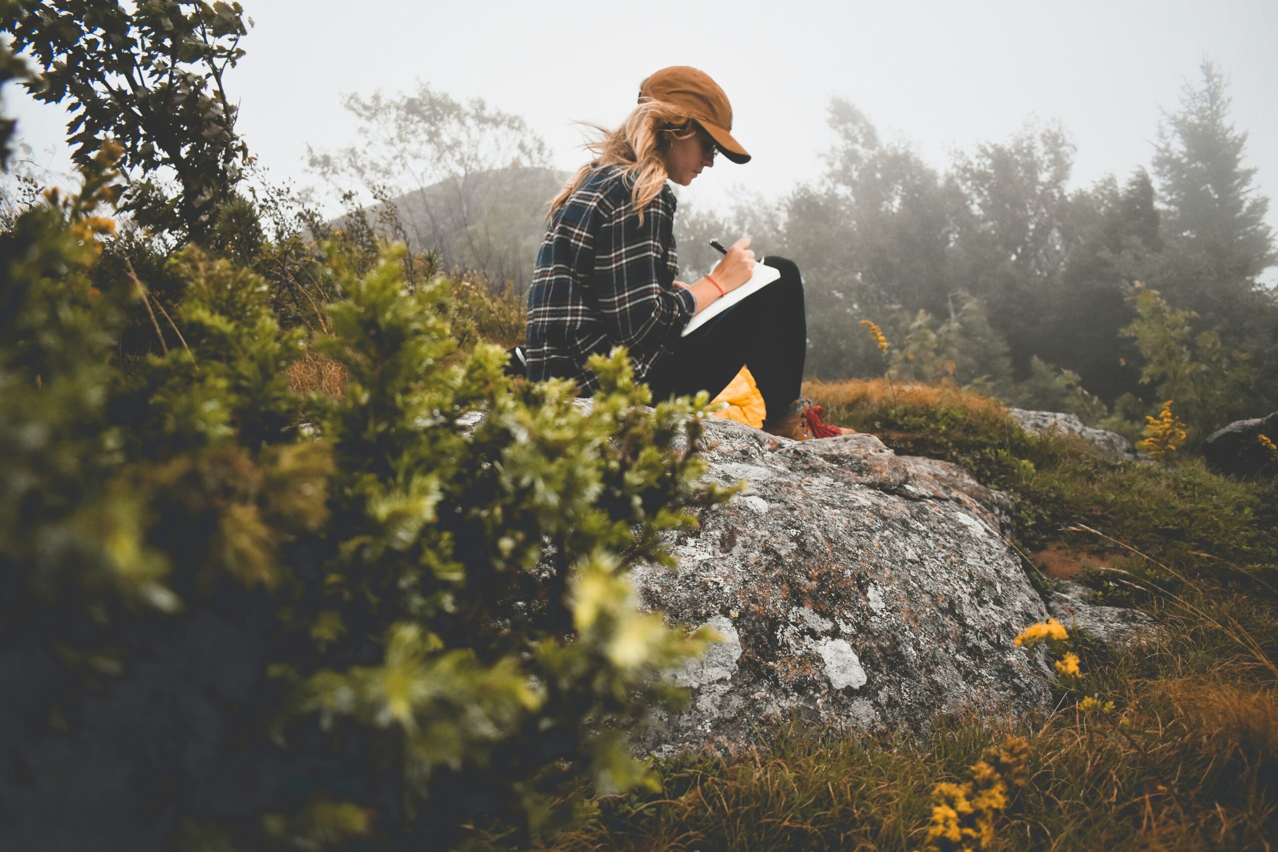 academic writer's block, freeze response writing, somatic writing block